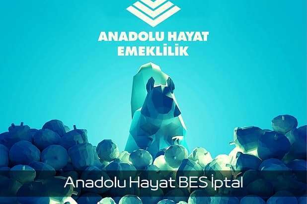 Anadolu Hayat BES İptali Nasıl Yapılır