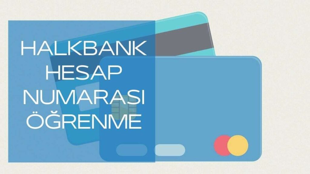 Halkbank hesap no öğrenme