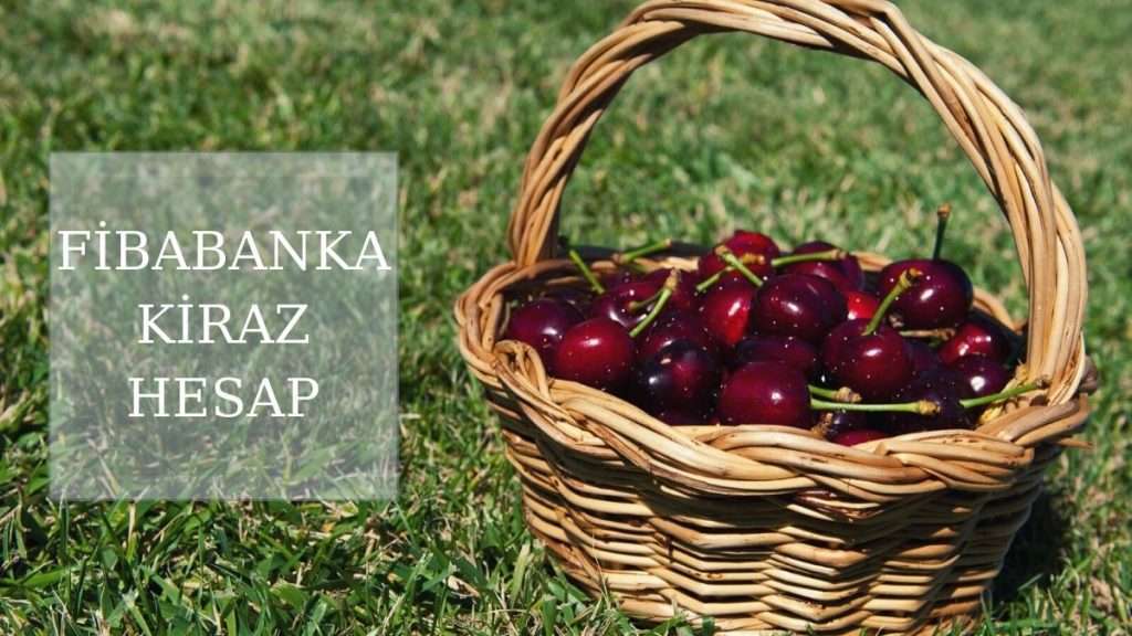 Fibabanka Kiraz Hesap Nasıl Açılır? Faiz Oranı Nedir Görseli fibabanka kiraz hesap