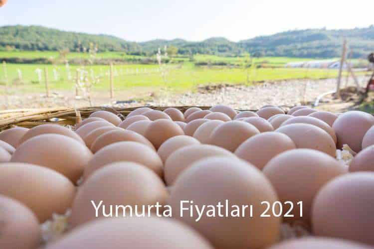 A101 Yumurta Fiyatları Görseli A101 organik 30lu yumurtalar