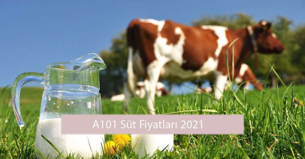 A101 Süt Fiyatı Görseli A101 süt fiyatları