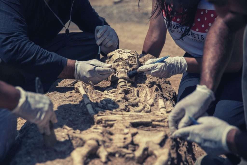 Arkeoloji Maaşı Görseli Arkeolog maaşları ne kadar