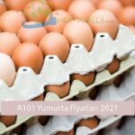 a101 yumurta fiyatları