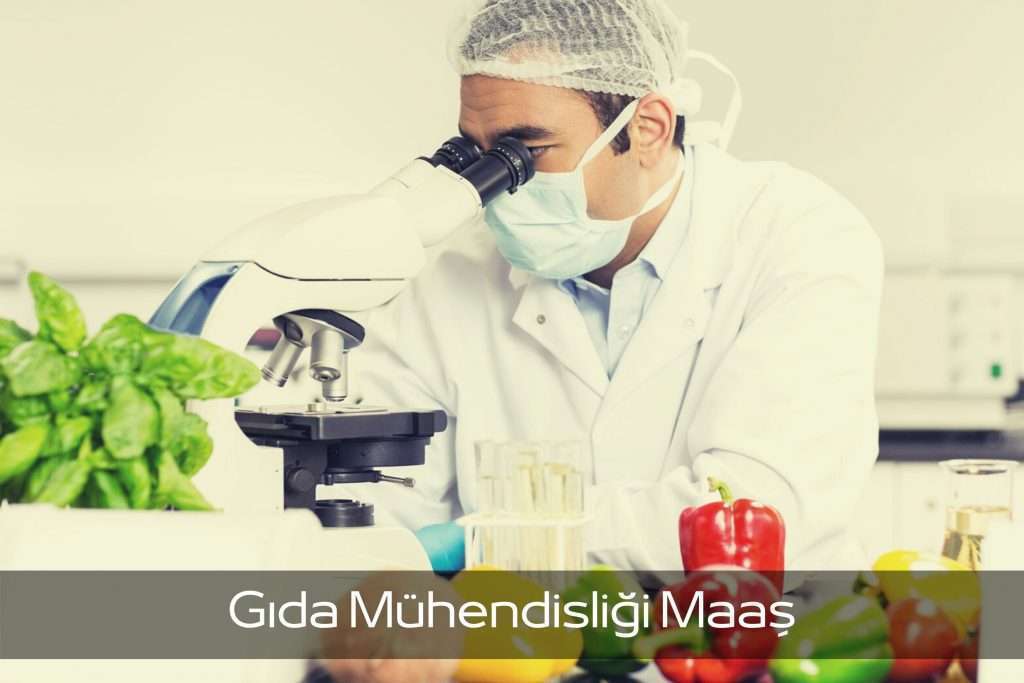 Gıda Mühendisliği Maaşı Görseli Gıda Mühendisliği Maaş ne kadar