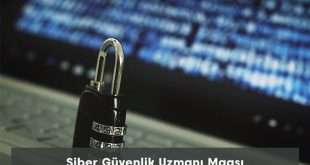 Siber Güvenlik Uzmanı Maaşı