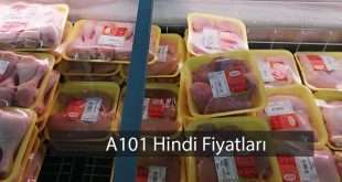 a101 hindi fiyatı