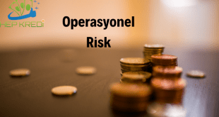 operasyonel risk nedir
