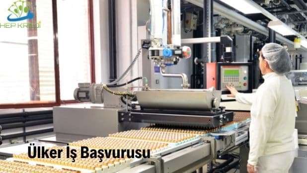 ülker iş başvurusu ve açık pozisyonlar
