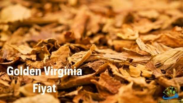 golden virginia fiyat