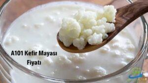 a101 kefir mayasi