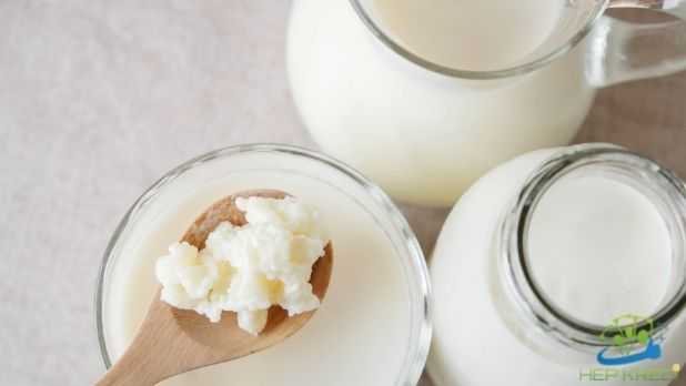 A101 Kefir Mayası Fiyatı Görseli a101 kefir mayası kullananlar ne düşünüyorlar