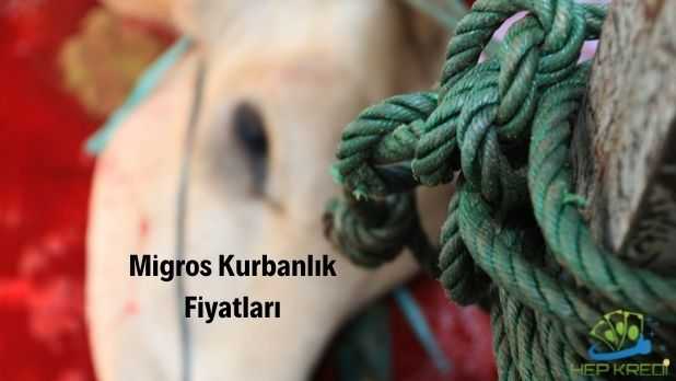 migros kurbanlık fiyatları