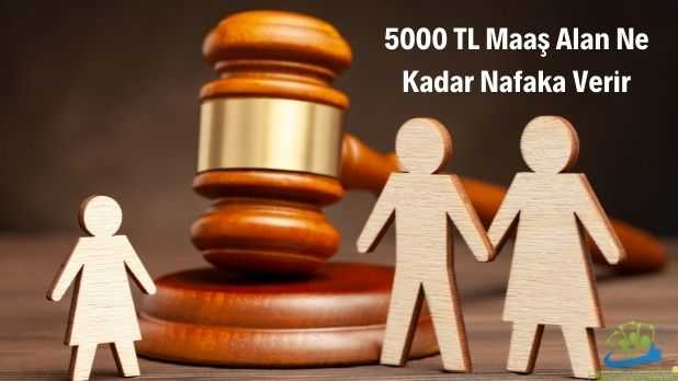10.000 TL Maaş Alan Ne Kadar Nafaka Verir Görseli 10000 tl maaş alan ne kadar nafaka verir