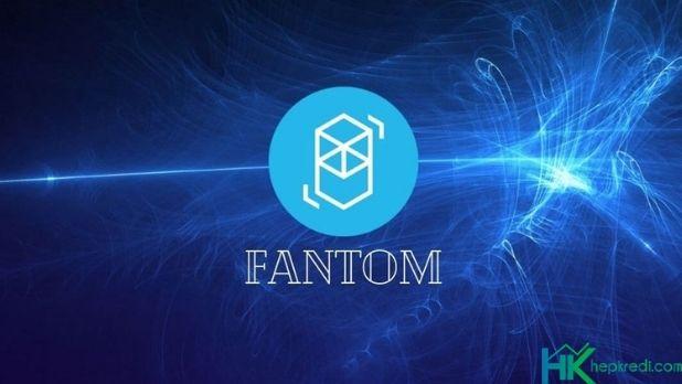 Fantom FTM coin geleceği ile ilgili yorumlar