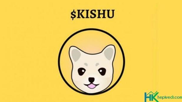 Kishu Coin Geleceği Görseli Kishu coin geleceği ile ilgili yorumlar