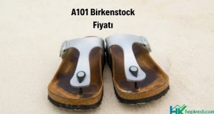 a101 birkenstock fiyatı