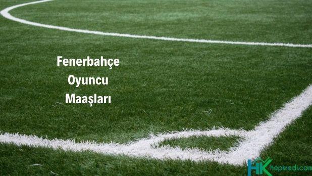 Fenerbahçe Oyuncu Maaşları Görseli fenerbahçe oyuncu maaşları ne kadar