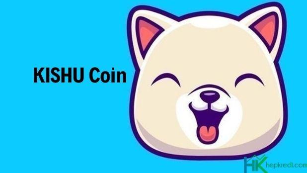 kishu coin geleceği nasıldır