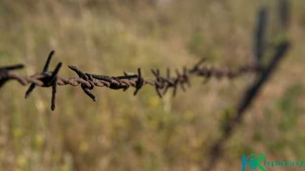 1 Dönüm Arsa Tel Örgü Fiyatı Görseli 1 dönüm arsa tel çit örgü fiyatı
