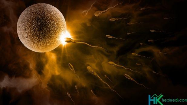Sperm hareketsizliğinde hangi ilaçlar kullanılır isimleri neler