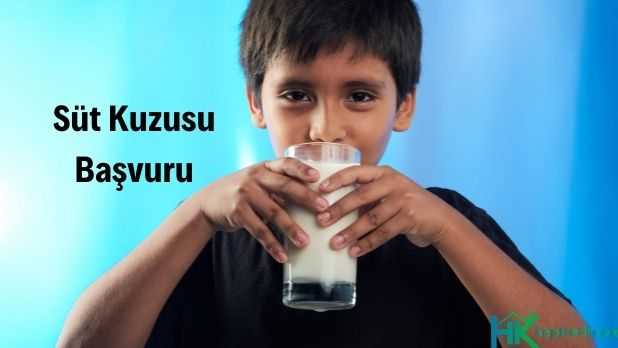 Süt Kuzusu Başvurusu Görseli süt kuzusu başvuru