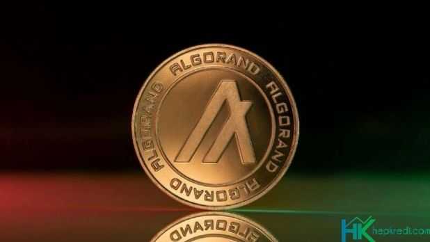ALGO Algorand Coin Geleceği Görseli Algorand coin nedir, arzı, nasıl alınır