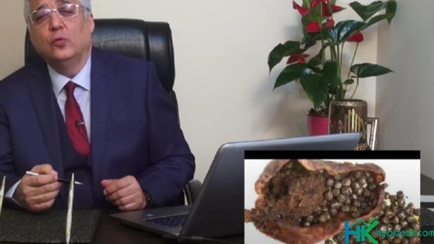 Ursactive Kullananların Yorumları Görseli Ursactive Kullananların Görüşleri Nelerdir