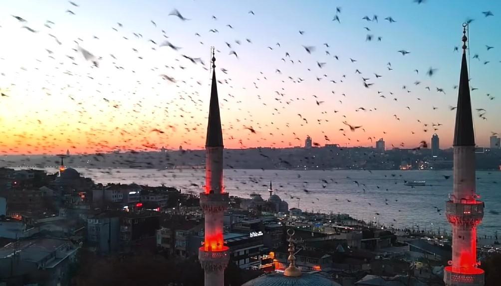 İzmir Çıkışlı İstanbul Turu Görseli İzmir çıkışlı İstanbul turları
